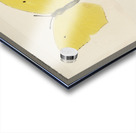 Angled Sulphur Gonepteryx Maerula from Moths and butterflies of the United States 1900 by Sherman F. Denton 1856-1937.  Acrylic print