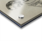 Portrait of Louis Vauxcelles 1909 Drawings by Jules Chéret Acrylic print