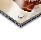 Clydesdale Stallion Prince of Albion Frank Babbage English 1858–1916 Acrylic print