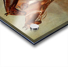 Polo Ponies Romany And Tith Owned By Sir J. Barker Frederic Whiting English 1874–1962 Acrylic print