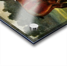 Shire Stallion Halstead Royal Duke John Hanson Walker Jr. English 1844-1933 Acrylic print