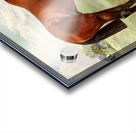 Spearmint Acrylic print