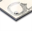 Etruscan design. 1888 edition Lornement Polychrome by Albert Racine 1825–1893. Acrylic print