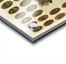 Japan pattern. 1888 edition Lornement Polychrome by Albert Racine 1825–1893. Acrylic print