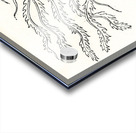 Antique Chinese illustrations. 1888 edition Lornement Polychrome by Albert Racine 1825–1893. Acrylic print