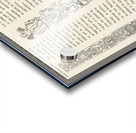 Ancient Egyptian. 1888 edition Lornement Polychrome by Albert Racine 1825–1893. Acrylic print