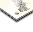 Chinese decorative element. 1888 edition Lornement Polychrome by Albert Racine 1825–1893. Impression Acrylique