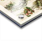 Chinese pattern. 1888 edition Lornement Polychrome by Albert Racine 1825–1893. Acrylic print