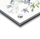 Dalmatian wall campanula flower from Edwards Botanical Register 1829-1847  by Sydenham Edwards John Lindley and James Ridgway. Impression Acrylique