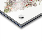 Leafy spiked orchis from Edwards Botanical Register 1829-1847  by Sydenham Edwards John Lindley and James Ridgway. Acrylic print