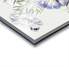 Sky blue alona from Edwards Botanical Register 1829-1847  by Sydenham Edwards John Lindley and James Ridgway. Acrylic print