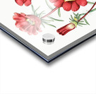 Portulaca splendens from Edwards Botanical Register 1829-1847  by Sydenham Edwards John Lindley and James Ridgway. Acrylic print