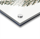 Bell-bearing heath from Edwards Botanical Register 1829-1847  by Sydenham Edwards John Lindley and James Ridgway. Acrylic print