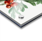 orocco hawthorn from Edwards Botanical Register 1829-1847  by Sydenham Edwards John Lindley and James Ridgway. Acrylic print