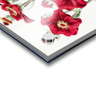 Chilian Guem from Edwards Botanical Register 1829-1847  by Sydenham Edwards John Lindley and James Ridgway. Acrylic print