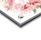 The lovely rhododendron from Edwards Botanical Register 1829-1847  by Sydenham Edwards John Lindley and James Ridgway. Acrylic print