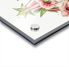 Gloxinia flower varieties from Edwards Botanical Register 1829-1847  by Sydenham Edwards John Lindley and James Ridgway. Acrylic print