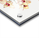 Copper-coloured Dendrobium from Edwards Botanical Register 1829-1847  by Sydenham Edwards John Lindley and James Ridgway. Acrylic print