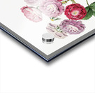 The seven sisters rose from Edwards Botanical Register 1829-1847  by Sydenham Edwards John Lindley and James Ridgway. Acrylic print