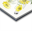 Elegant madia from Edwards Botanical Register 1829-1847  by Sydenham Edwards John Lindley and James Ridgway. Acrylic print