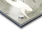 Little Egrets in flight 1925 - 1936 by Ohara Koson 1877-1945. Acrylic print