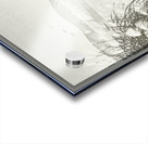 Ducks in the water 1931 by Ohara Koson 1877-1945. Acrylic print