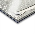 Sparrows on snowy berry bush 1900-1945 by Ohara Koson 1877-1945 Acrylic print