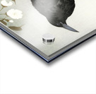 A crow and the full moon 1900-1930 by Ohara Koson 1877-1945. Acrylic print