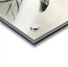 Kingfisher hunting for fish in the water 1900 by Ohara Koson 1877-1945. Acrylic print