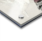 Two pigeons 1877-1945 by Ohara Koson 1877-1945. Acrylic print