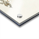 Bunting on blossom branch 1900 - 1930 by Ohara Koson 1877-1945. Acrylic print