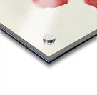 Two veil goldfish 1926 by Ohara Koson 1877-1945. Acrylic print