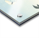 Peony with butterfly 1925 - 1936 by Ohara Koson 1877-1945. Acrylic print