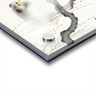 Monkey on a tree branch 1900-1930 by Ohara Koson 1877-1945. Acrylic print