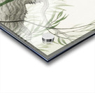 Cicada on tree 1900 - 1936 by Ohara Koson 1877-1945. Acrylic print