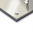 Two cranes 1900-1930 by Ohara Koson 1877-1945. Acrylic print