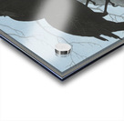 Two crows on a branch 1927 by Ohara Koson 1877-1945. Acrylic print