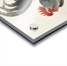 Gallinule with Lotus Flowers 1900 - 1930 by Ohara Koson 1877-1945. Acrylic print