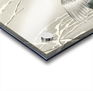 Emerge on snowy branch 1900 - 1930 by Ohara Koson 1877-1945. Acrylic print