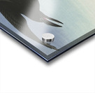 Crows at full moon 1925 - 1936 by Ohara Koson 1877-1945. Acrylic print