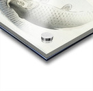 Two carp fish 1900 - 1910 by Ohara Koson 1877-1945. Acrylic print