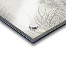 Five chicks 1900 - 1936 by Ohara Koson 1877-1945. Acrylic print