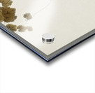 Bird in downward flight 1900 - 1930 by Ohara Koson 1877-1945. Acrylic print