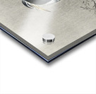 Kwak on branch 1900 - 1936 by Ohara Koson 1877-1945. Acrylic print