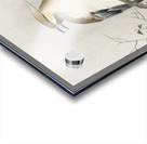 Japanese plague bird on branch 1900 - 1910 by Ohara Koson 1877-1945. Acrylic print