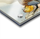 Pheasant couple and plum blossom 1900 - 1930 by Ohara Koson 1877-1945. Acrylic print