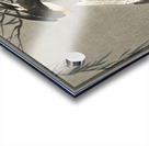 Three red-tailed swallows in dive 1900-1930 by Ohara Koson 1877-1945. Acrylic print