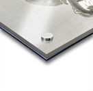 Two playing monkeys 1900 - 1930 by Ohara Koson 1877-1945. Acrylic print