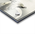 Cuckoo at crescent moon 1900 - 1930 by Ohara Koson 1877-1945. Acrylic print