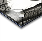 Bats under the full moon 1900-1936 by Ohara Koson 1877-1945. Acrylic print